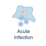 Acute infection