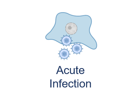 Acute infection