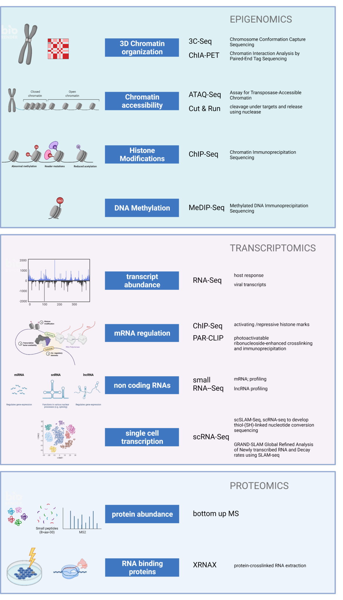 Omics FOR 5200 DEEPDV Disrupt Evade Exploit