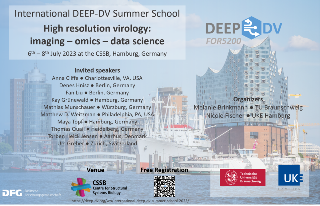 International Summer School 2023 Hamburg FOR 5200 DEEPDV Disrupt