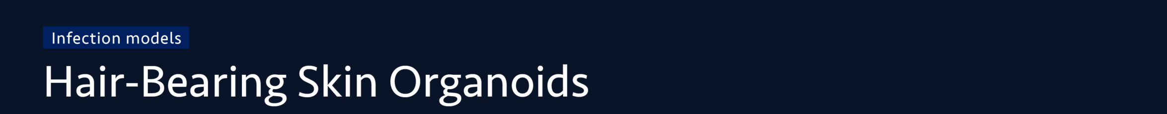 IM_hair_bearing_Skin_organoids_top