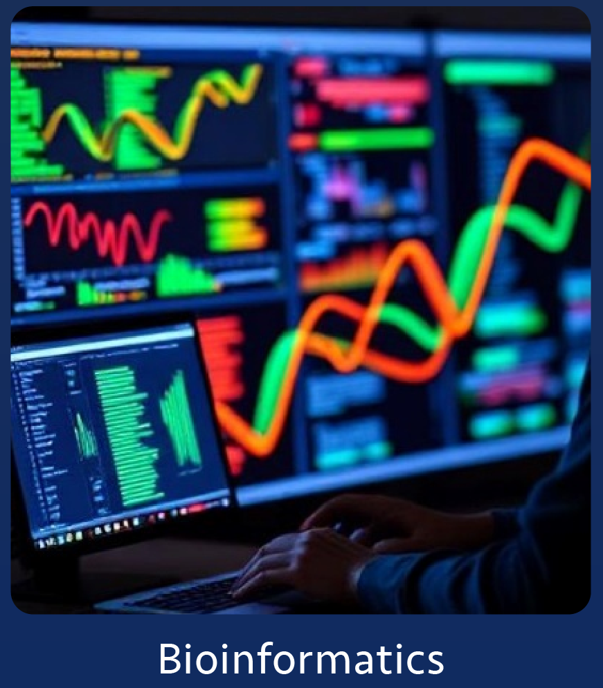 Bioinformatics