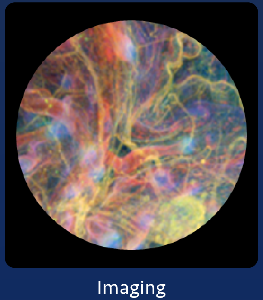 Imaging