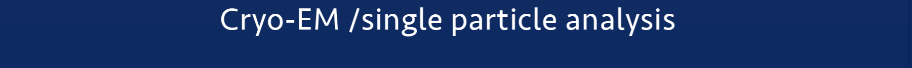 structural_infos_middle_right