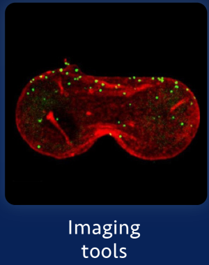 imaging_tools